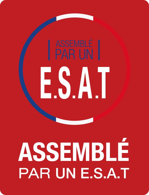 picto-raqball-assemble-esat