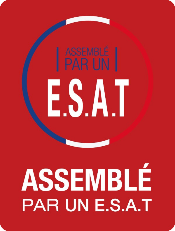 picto-raqball-assemble-esat 1